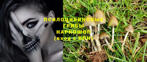 трава Билибино