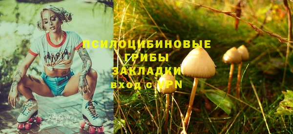 стафф Абинск